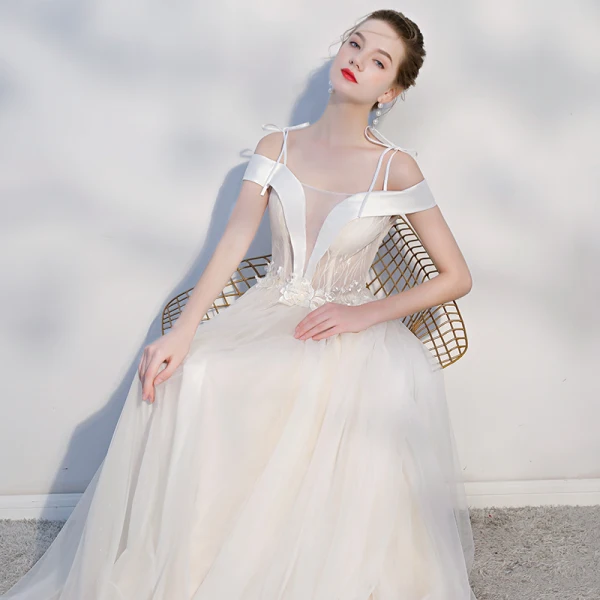 Elegant Champagne Evening Dresses 2018 A-Line / Princess Lace Appliques Spaghetti Straps Backless Sleeveless Court Train Formal Dresses