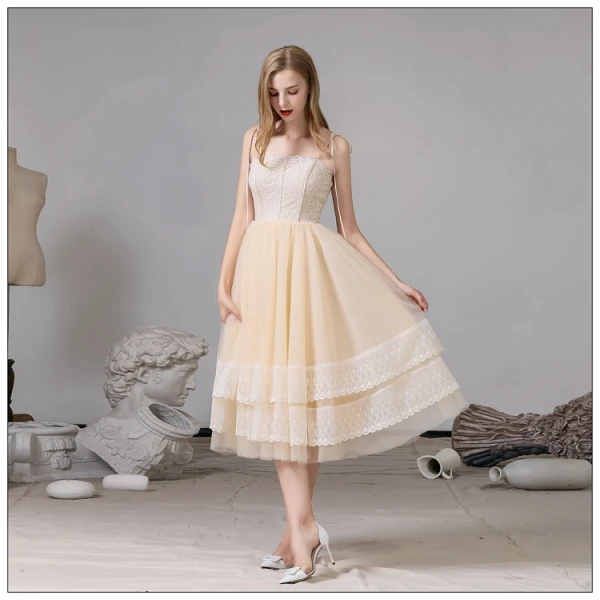 Fashion Champagne Homecoming Graduation Dresses 2020 A-Line / Princess Spaghetti Straps Lace Sleeveless Backless Tea-length Formal Dresses