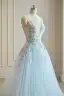 Flower Fairy Sky Blue 3D Lace Prom Dresses 2024 Crossed Straps Floor-Length / Long V-Neck Dancing Sleeveless A-Line / Princess Formal Dresses