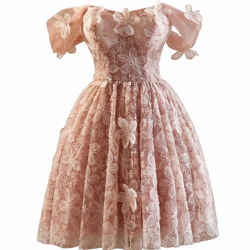 Vintage Retro Blushing Pink Appliques Birthday Party Dresses 2024 Ball Gown Short Sleeve