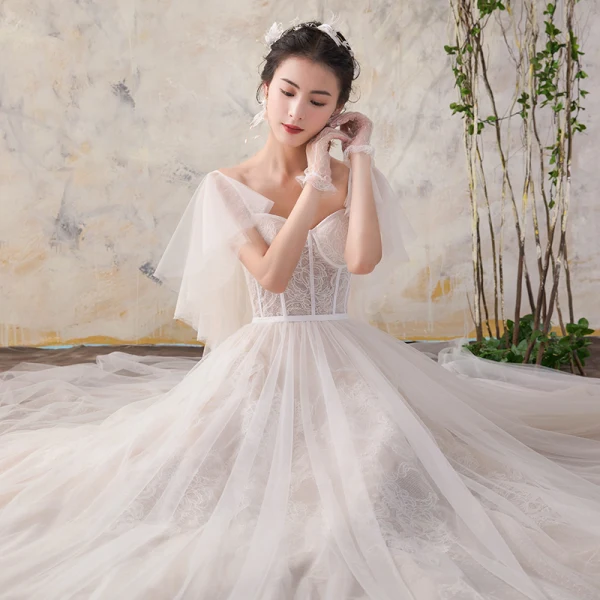 Elegant Champagne Wedding Dresses 2018 A-Line / Princess Lace V-Neck Backless Short Sleeve Court Train Wedding