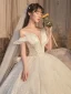 Luxe Champagne Robe De Mariée 2020 Robe Boule Volants Bustier En Dentelle Fleur Paillettes Sans Manches Dos Nu Royal Train