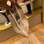 Chic / Belle Beige Cocktail Escarpins 2020 9 cm Talons Aiguilles À Bout Pointu Escarpins
