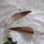 Elegant Vintage / Retro Silver Glitter Wedding Shoes 2020 Leather Crystal Pearl 5 cm Stiletto Heels Pointed Toe Wedding Pumps