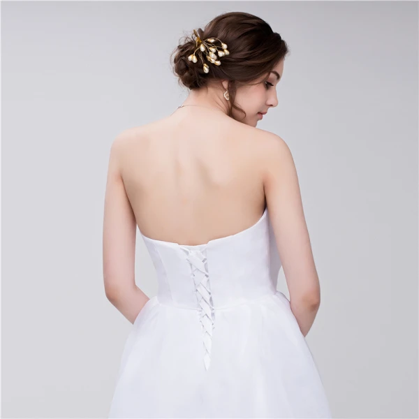 Chic / Belle Noire Robe De Mariée 2018 Princesse Organza Noeud Bustier Dos Nu Sans Manches Longue Mariage