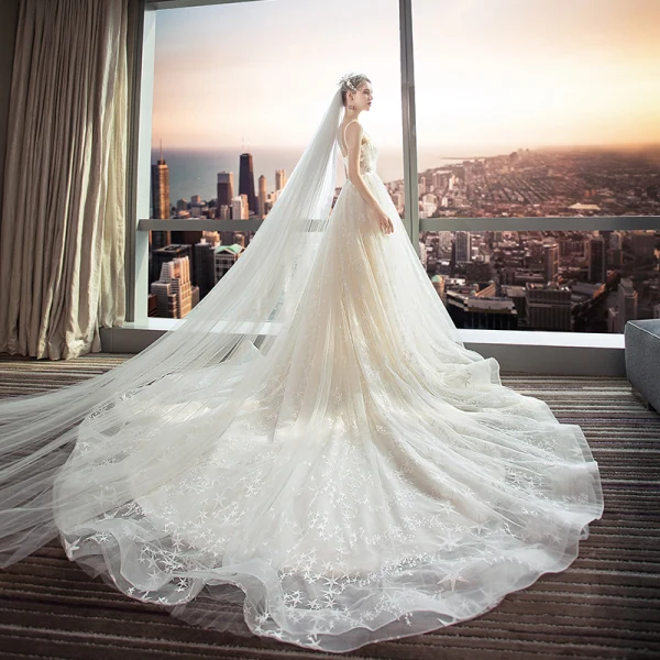 Modern / Fashion Champagne Wedding Dresses 2018 A-Line / Princess Lace Flower Star Spaghetti Straps Backless Sleeveless Cathedral Train Wedding
