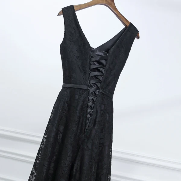 Classic Black Formal Dresses 2017 A-Line / Princess Lace Flower Bow V-Neck Sleeveless Floor-Length / Long Evening Dresses