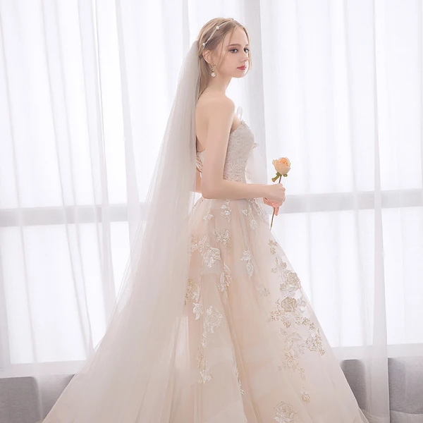 Modern / Fashion Champagne Wedding Dresses 2018 A-Line / Princess Appliques Lace Flower Pearl Sequins Bow Strapless Backless Sleeveless Cathedral Train Wedding