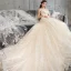 Luxury / Gorgeous Champagne Wedding Dresses 2018 A-Line / Princess Beading Tassel Appliques Lace Scoop Neck Backless Short Sleeve Cathedral Train Wedding