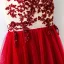 Chic / Beautiful Red Evening Dresses  2017 A-Line / Princess Lace Flower Crystal Artificial Flowers Scoop Neck Sleeveless Ankle Length Evening Party