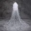 Classic Elegant 2017 White Appliques Tulle Lace Hall Wedding Veils