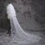 Classic Elegant 2017 White Appliques Tulle Lace Hall Wedding Veils