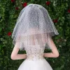 Chic / Beautiful White Wedding Lace Tulle Appliques Short Wedding Veils 2019