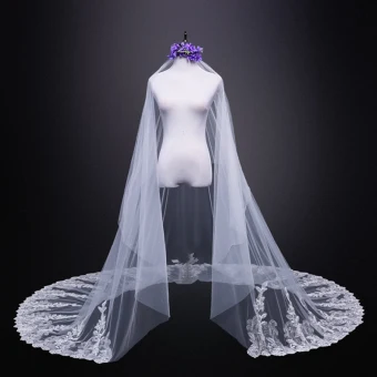 Modest Simple White Wedding Tulle Lace Appliques 4 M Cathedral Train Wedding Veils 2018
