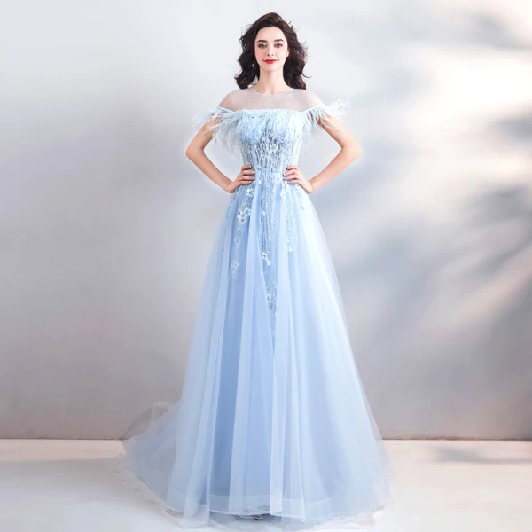 Chic / Beautiful Sky Blue Court Train Evening Dresses 2018 A-Line / Princess U-Neck Tulle Appliques Backless Beading Feather Evening Party Formal