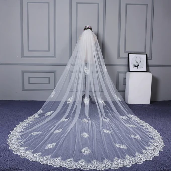 Amazing Unique White Cathedral Train Wedding 2018 Tulle Lace Appliques Wedding Veils