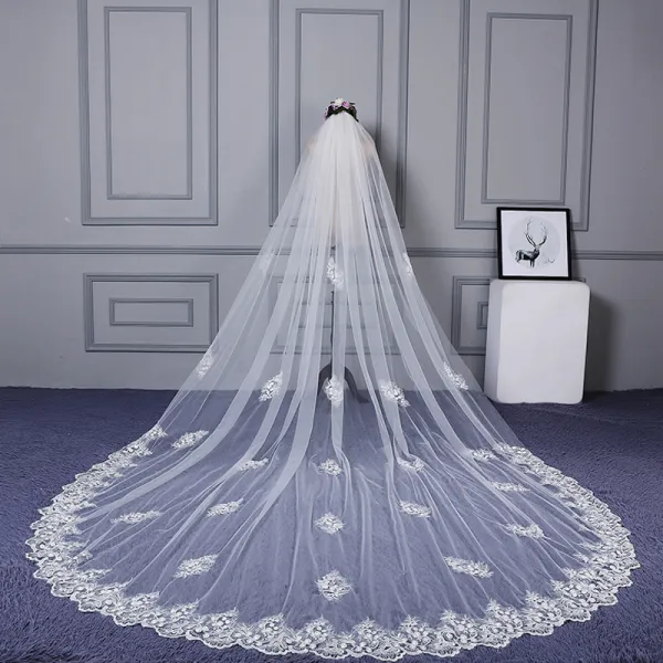 Amazing Tulle Wedding Veil With Lace Appliques