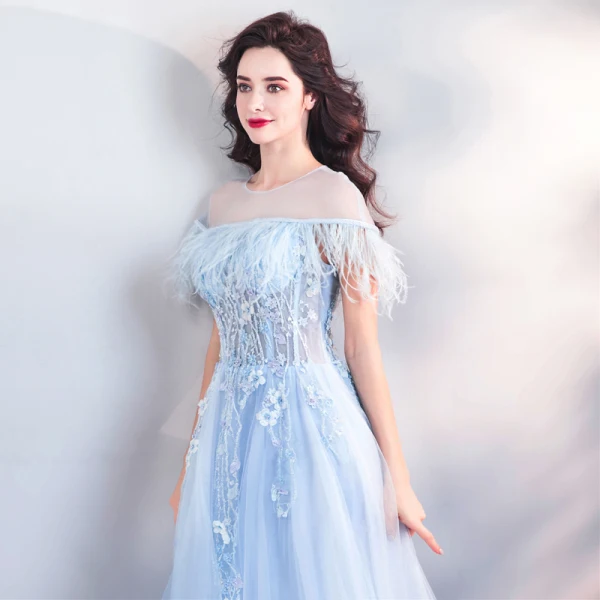 Chic / Beautiful Sky Blue Court Train Evening Dresses 2018 A-Line / Princess U-Neck Tulle Appliques Backless Beading Feather Evening Party Formal Dresses