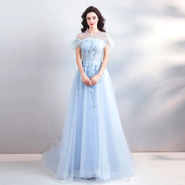 Chic / Beautiful Sky Blue Court Train Evening Dresses 2018 A-Line / Princess U-Neck Tulle Appliques Backless Beading Feather Evening Party Formal Dresses