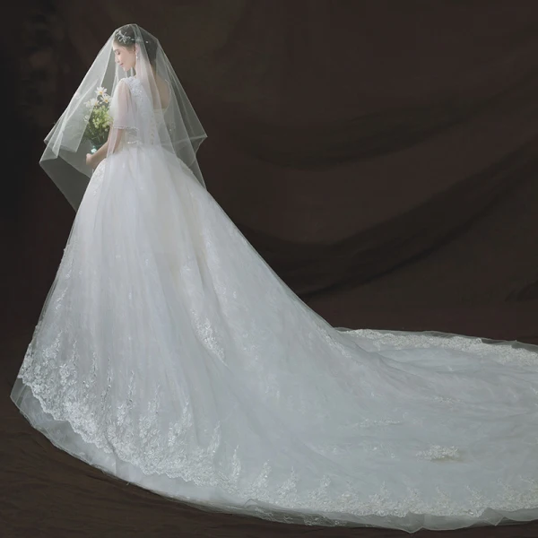 Chic / Belle Ivoire Robe De Mariée 2018 Robe Boule Transparentes V-Cou Manches Courtes Dos Nu Appliques En Dentelle Paillettes Perle Royal Train Volants
