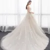 Charming Champagne See-through Wedding Dresses 2018 A-Line / Princess Scoop Neck Sleeveless Backless Appliques Lace Ruffle Chapel Train