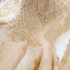 Luxury / Gorgeous Champagne Wedding Dresses 2018 Ball Gown U-Neck Pierced Long Sleeve Backless Pearl Beading Appliques Lace Ruffle Cathedral Train