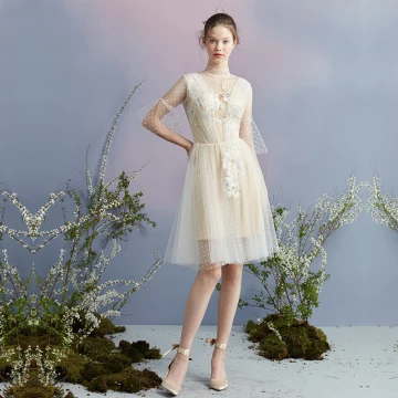Stylowe Modne Szampan Spleciona Homecoming Sukienki Na Studniówke 2018 Princessa Wysokiej Szyi 3 4 Rękawy Aplikacje Z Koronki Długość Do Kolan Wzburzyć Bez Pleców Sukienki Wizytowe