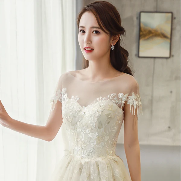 Luxury / Gorgeous Champagne Wedding Dresses 2018 A-Line / Princess Beading Tassel Appliques Lace Scoop Neck Backless Short Sleeve Cathedral Train Wedding