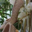 Charming White Lace Rhinestone Wedding Shoes 2021 Leather 7 cm Stiletto Heels High Heels Pointed Toe Wedding Pumps