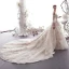 Luxury / Gorgeous Champagne Wedding Dresses 2019 A-Line / Princess Spaghetti Straps Beading Crystal Lace Flower 3/4 Sleeve Backless Royal Train