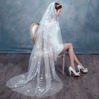 Chic Beautiful 2017 White Appliques Tulle Lace Wedding Veils