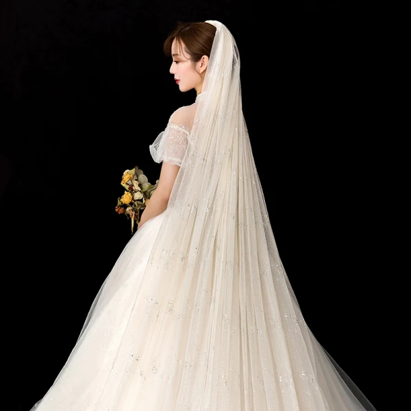 Amazing / Unique Champagne Glitter Wedding Veils 2020 Tulle Sequins 3 m Chapel Train Wedding Accessories