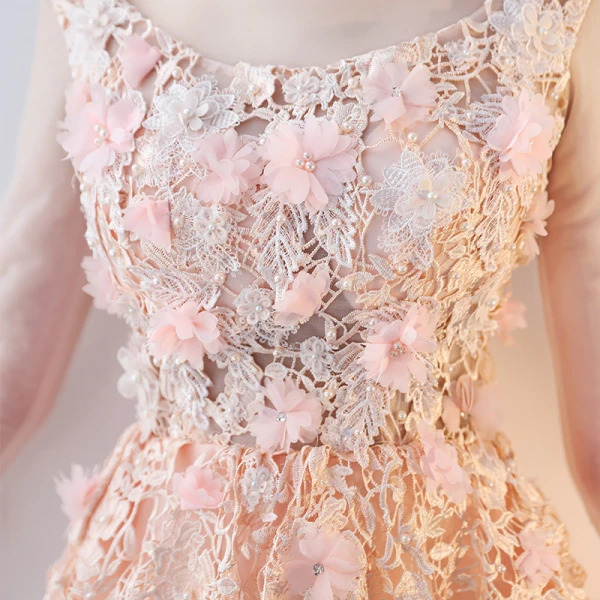 Amazing / Unique Blushing Pink Floor-Length / Long Evening Dresses 2018 A-Line / Princess Tulle Lace-up U-Neck Appliques Backless Beading Formal Dresses