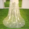 Chic / Beautiful 2017 White Appliques Tulle Lace Wedding Veils