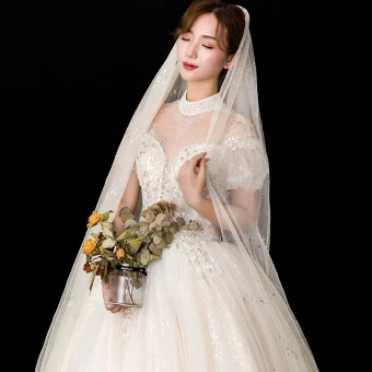 Amazing Unique Champagne Glitter Wedding Veils 2020 Tulle Sequins 3 M Chapel Train Wedding Accessories