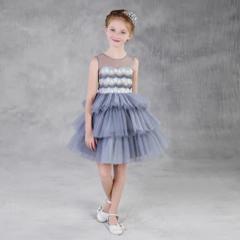 Modern Fashion Silver See Through Flower Girl Dresses 2018 A Line Princess Scoop Neck Sleeveless Appliques Flower Tassel Short Cascading Ruffles Wedding Party Dresses