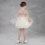 Modern / Fashion Champagne See-through Summer Flower Girl Dresses 2018 A-Line / Princess Square Neckline Sleeveless Sequins Sash Short Ruffle Backless Wedding Party Dresses