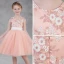Chic / Beautiful Pearl Pink Flower Girl Dresses 2018 A-Line / Princess Scoop Neck Sleeveless Appliques Lace Sash Short Ruffle Wedding Party Dresses