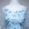 Chic / Beautiful Sky Blue Evening Dresses  2017 A-Line / Princess Scoop Neck 1/2 Sleeves Appliques Butterfly Floor-Length / Long Ruffle Backless Formal Dresses