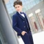 Modest / Simple Striped Tie Royal Blue Boys Wedding Suits 2018