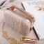 Modest / Simple Beige Metal Clutch Bags 2018