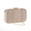Modest / Simple Beige Metal Clutch Bags 2018