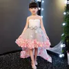 Chic / Beautiful Grey See-through Flower Girl Dresses 2018 A-Line / Princess Beading Pearl Scoop Neck Sleeveless Appliques Flower Bow Sash Asymmetrical Ruffle Backless Wedding Party Dresses
