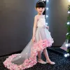 Chic / Beautiful Grey See-through Flower Girl Dresses 2018 A-Line / Princess Beading Pearl Scoop Neck Sleeveless Appliques Flower Bow Sash Asymmetrical Ruffle Backless Wedding Party Dresses