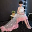 Chic / Belle Gris Transparentes Robe Ceremonie Fille 2018 Princesse Perlage Perle Encolure Dégagée Sans Manches Appliques Fleur Noeud Ceinture Asymétrique Volants Dos Nu Robe Pour Mariage