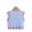 Fashion Sky Blue Two Tone Fall Knitting Casual Tank Sweaters 2021 V-Neck Short Sleeve Women's Tops