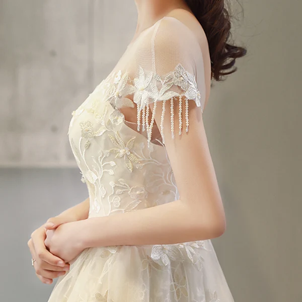 Luxury / Gorgeous Champagne Wedding Dresses 2018 A-Line / Princess Beading Tassel Appliques Lace Scoop Neck Backless Short Sleeve Cathedral Train Wedding