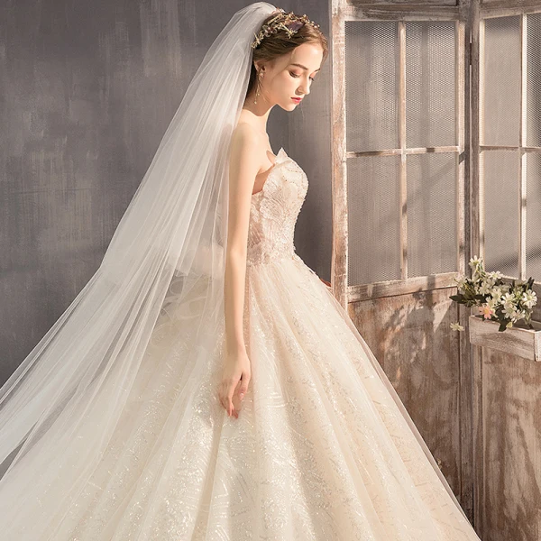 Fabuleux Champagne Robe De Mariée 2019 Princesse Bustier Perlage Paillettes Sans Manches Dos Nu Appliques Noeud Royal Train