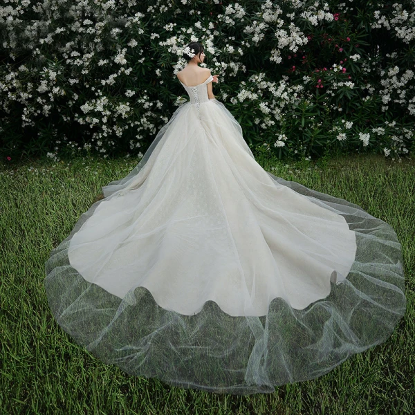 High-end Champagne Wedding Dresses 2019 Ball Gown Off-The-Shoulder Lace Flower Sleeveless Backless Royal Train