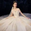 High-end Champagne Wedding Dresses 2019 A-Line / Princess Spaghetti Straps Ruffle Beading Sequins Lace Flower Sleeveless Backless Chapel Train